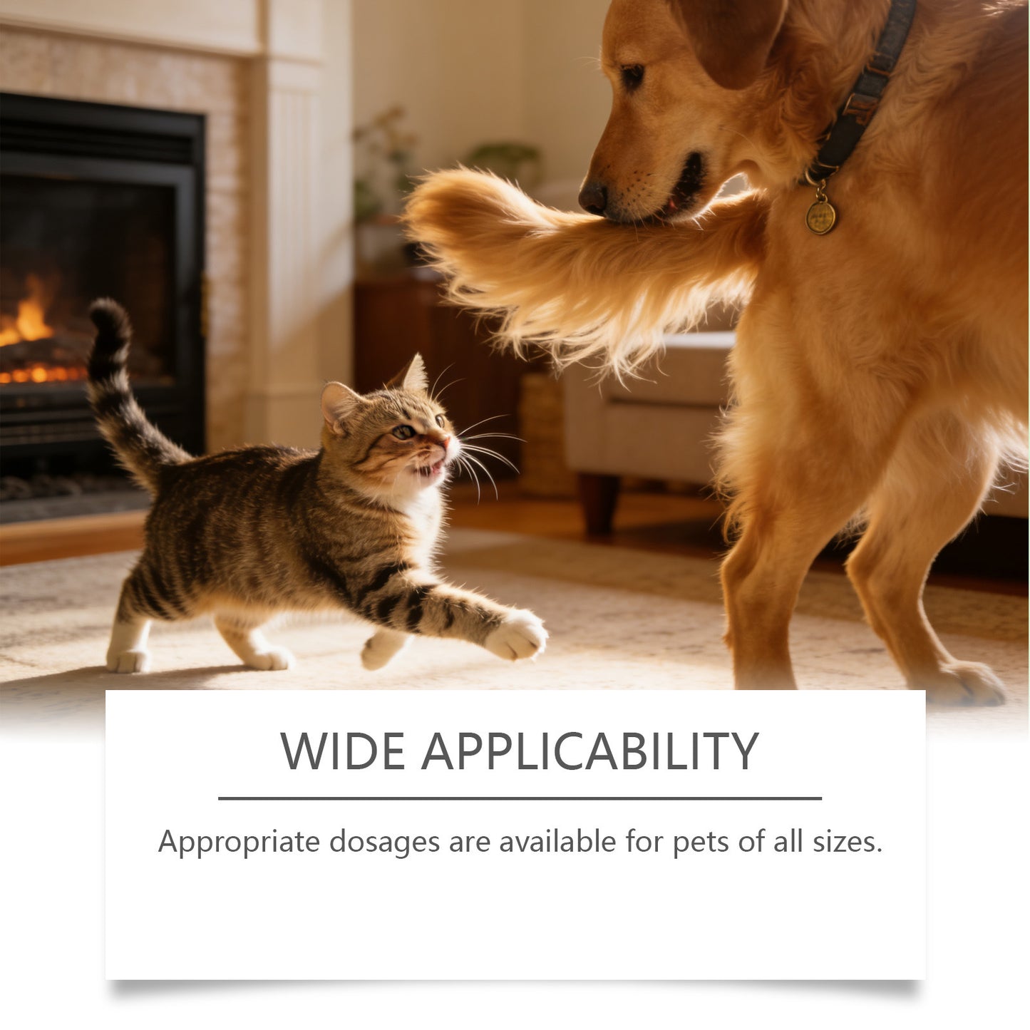 Joint Health Chewable Tablets For Dogs