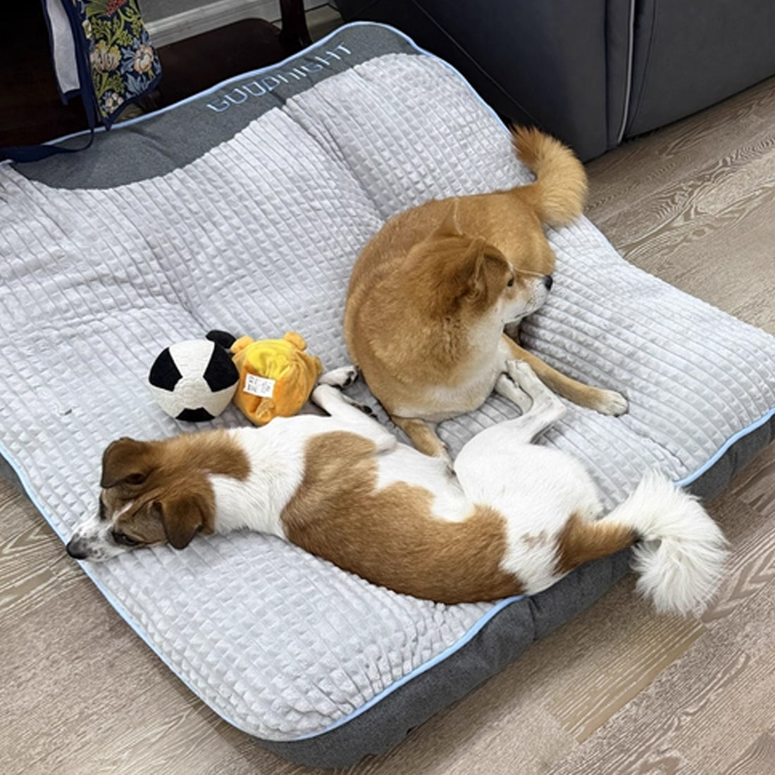 Large Sofa Bed for Dogs + 1 Chew Rope Knot