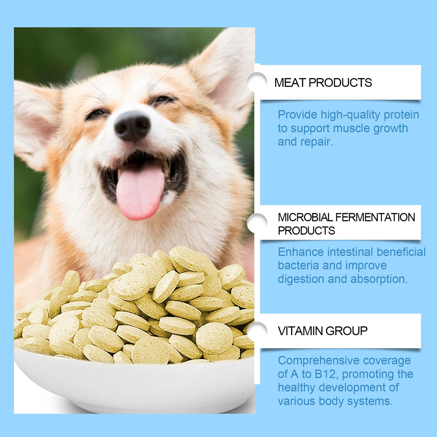 Dogs Multivitamin Tablet