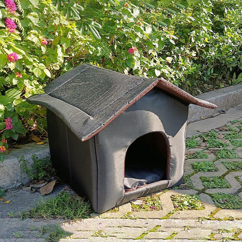Cat Outdoor House