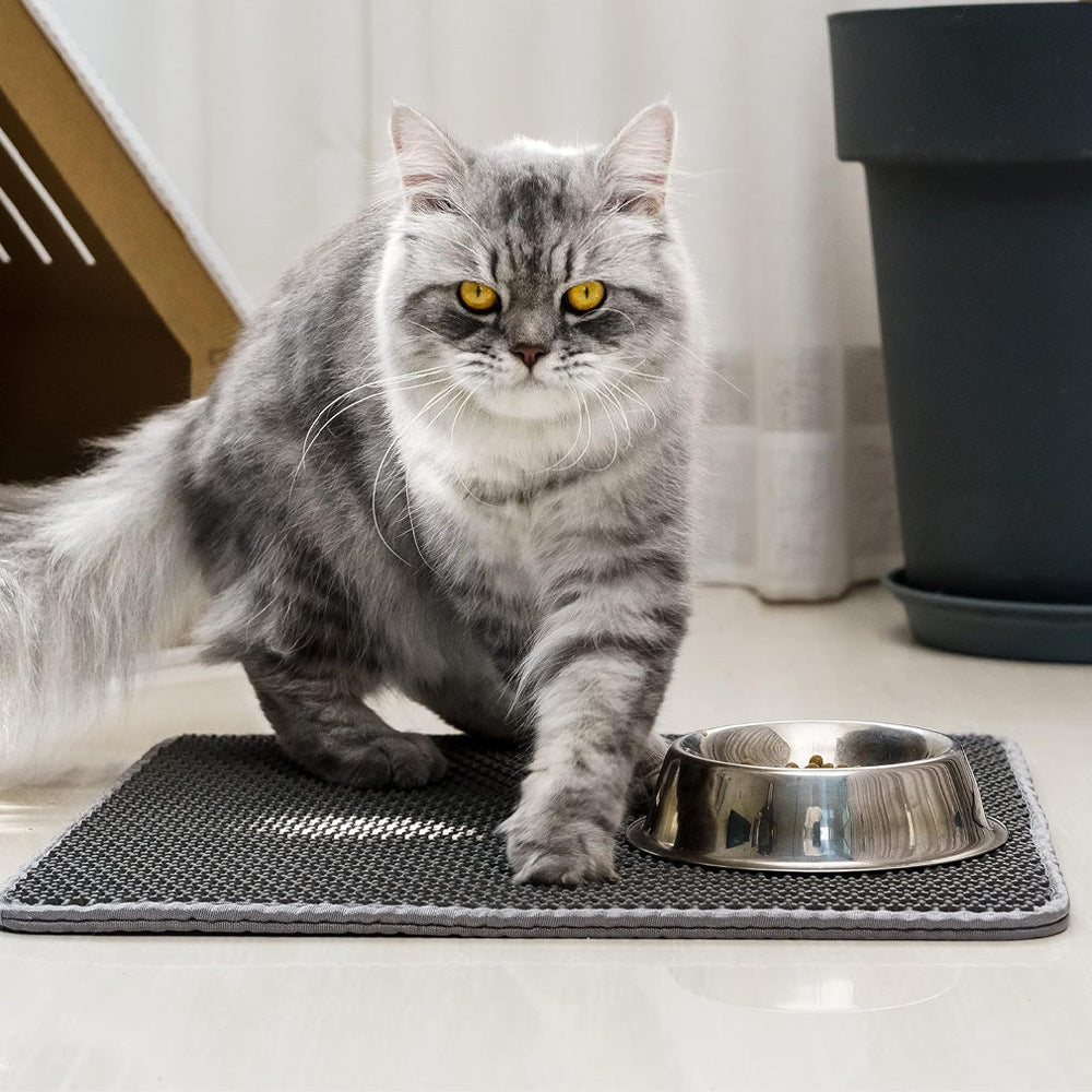 Cat Litter Mat