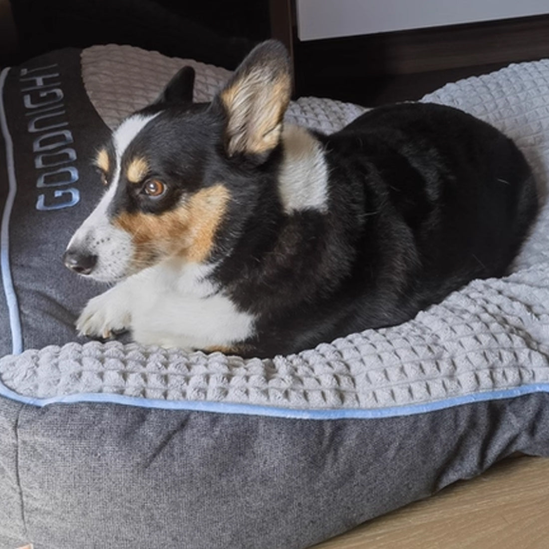 Large Sofa Bed for Dogs + 1 Chew Rope Knot