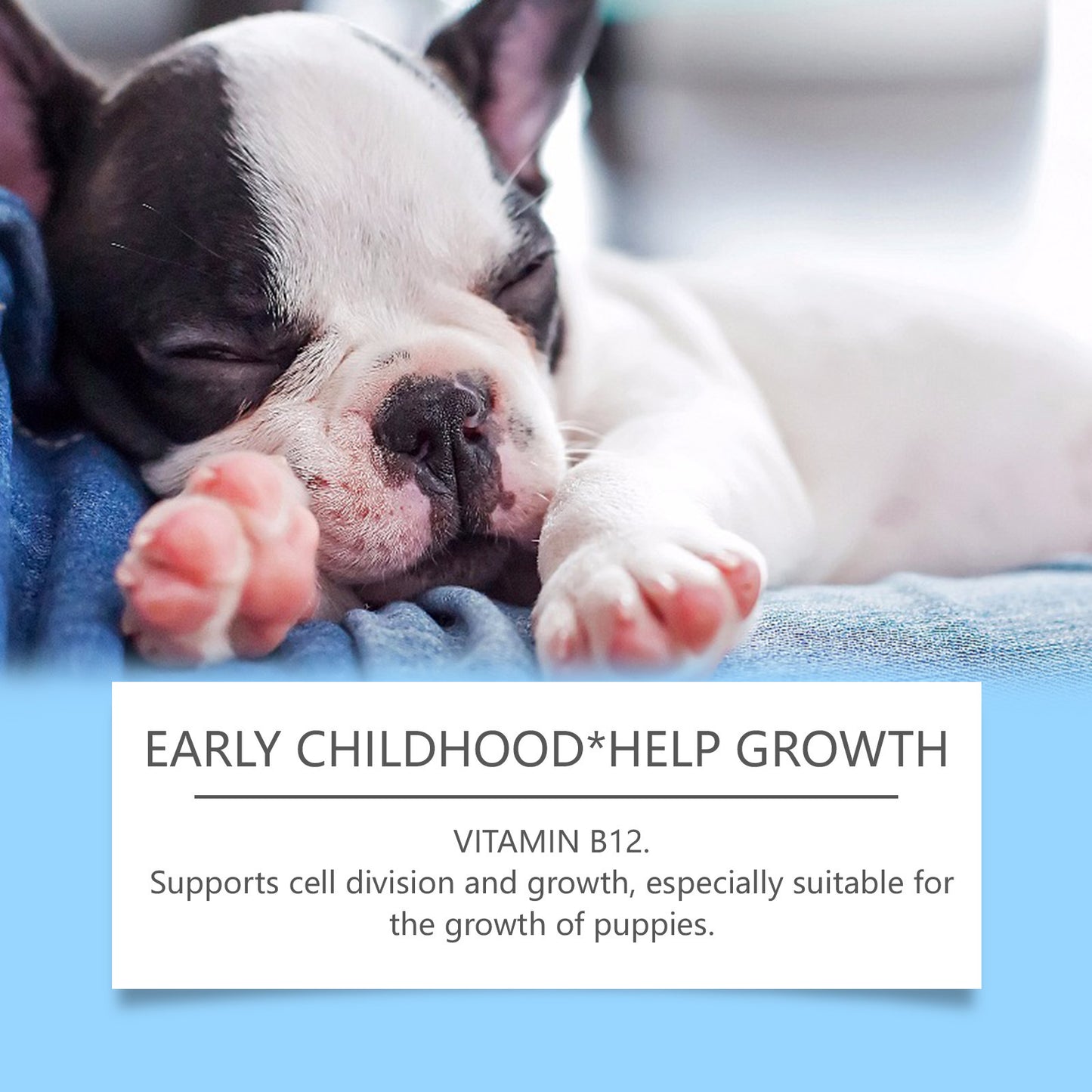 Dogs Multivitamin Tablet